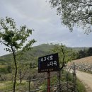 다곡8세천 | |경북 캠핑장| 구미 피크닉팜 A5 사이트 1박2일 후기