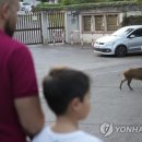 팔마미용실 이미지
