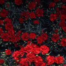 경기남부농장 이미지