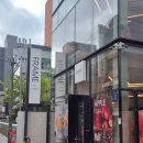 더로찌 | 강남 / 신논현 카페 프레임 바이로찌 내돈내산 후기