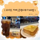 하이오커피은행나무
