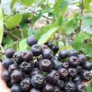 은현농장 이미지