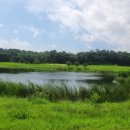 파나시아골프클럽 이미지