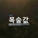 크리드 파이트 아카데미 | 한국타이어 키너지 올웨더 타이어 교체후기