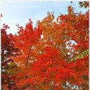 하나행정사사무소 이미지