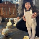 주차16 | 동탄 주렁주렁 주차 실내 동물원 16개월 아기와 주말 오후 방문 후기