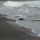 효돈동-2 이미지