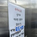 포항 죽도시장 블루리본 11개, 고추장 물회 맛집 ‘ 수향회식당 ’