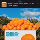 주식회사 제주페이 이미지