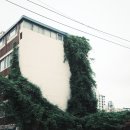 동양맨션아파트 이미지