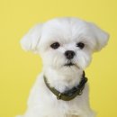 핸즈프렌즈협동조합 이미지