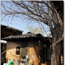 영천 돌메기 매운탕 이미지