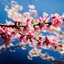 목사내아 기타 이미지