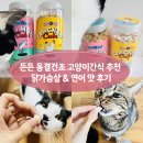 연어의맛 | 든든 동결건조 고양이 간식 추천 닭가슴살 연어 맛 후기