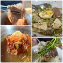물참 | 울산 성안동 냉면 맛집 물참면옥 고소한 백비냉과 시원한 물참면 솔직 후기