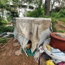 구평동-17 이미지