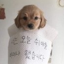 반성 이미지