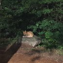 산따라물따라 이미지