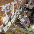 솔밭초교 병설유치원 이미지