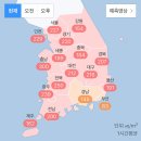 삼육가 이미지