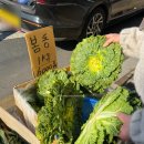 엄마에손맛 | [공지] 엄마 손맛 가득 봄동비빔밥 특별 레시피 시식 후기