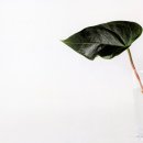 디자인여백 이미지
