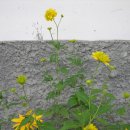 키다리소아청소년과의원 이미지