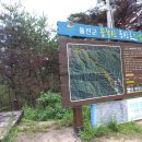 울진 응봉산(鷹峰山) 산행 이미지