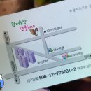 광어총각 생굴처녀 이미지