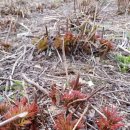 삼마농장 이미지