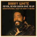Never, Never Gonna Give Ya Up / Barry White(배리 화이트) 이미지