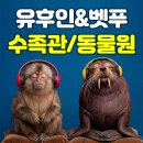 작은동물원수족관 | 벳부버스투어 우미타마고 수족관,동물원 모두 정복!