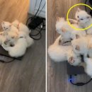 형제종합전기 이미지
