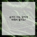 똑똑한 스마트폰 활용법 이미지