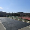 씰-크랙 네이버블로그
