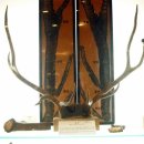 약령시한의약박물관 이미지