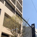 여우비호텔&블랙브롤리레스토랑 | [숙소] 조식에 진심인 울산 비즈니스 호텔 ‘호텔 여우비’