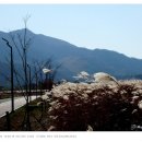 강변자전거길 2 이미지