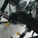 마이트피트니스 이미지