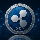 (주)디지탈에이지 | “아니 리플 왜케 안오르는겨?”… XRP 투자자들이 답답한 이유