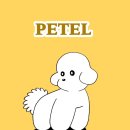 폴짝폴짝 이야기 숲 | 강릉 애견 동반 독채 펜션 컴페니언 by 강릉 페텔 예약