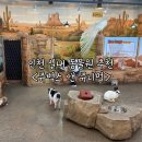 쥬벅스 | 인천 아이와 먹이 체험 실내 동물원 쥬벅스 내돈내산 후기