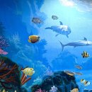 파크수영장 이미지