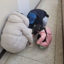 수원-1167 이미지