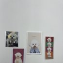 뽀야네 까까 이미지