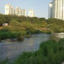 야탑동사거리 이미지