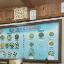 시청남로 이미지