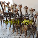 조명여행사 이미지