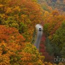 숲속골프 이미지