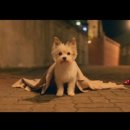 사랑스럽개 이미지